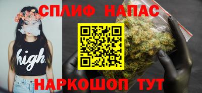 амф Новозыбков